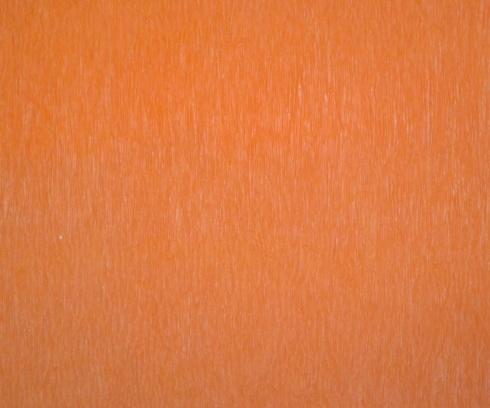 Tangerine - Set of 12