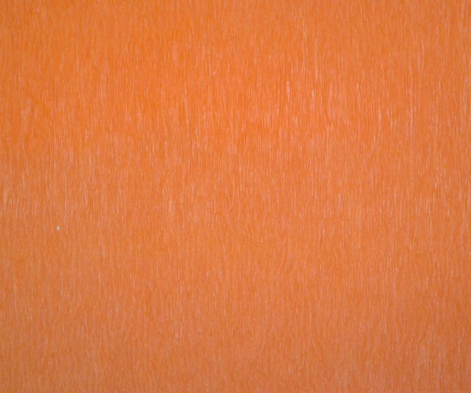 Tangerine - Set of 12