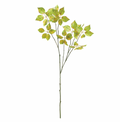 VARIEGATED LEAF BRANCH 43"