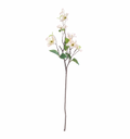 DOGWOOD BRANCH 38"