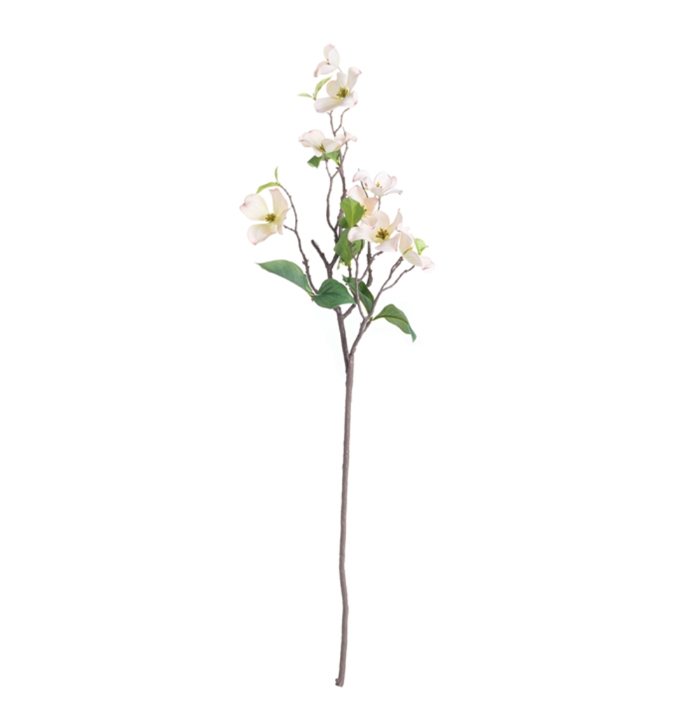 DOGWOOD BRANCH 38"