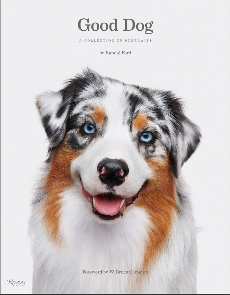 Good Dog- Coffee Table Book