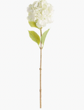 Mophead Hydrangea Stems