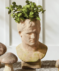 Weathered Garden Male Bust Planter