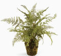 Soft Fern 13" Drop IN