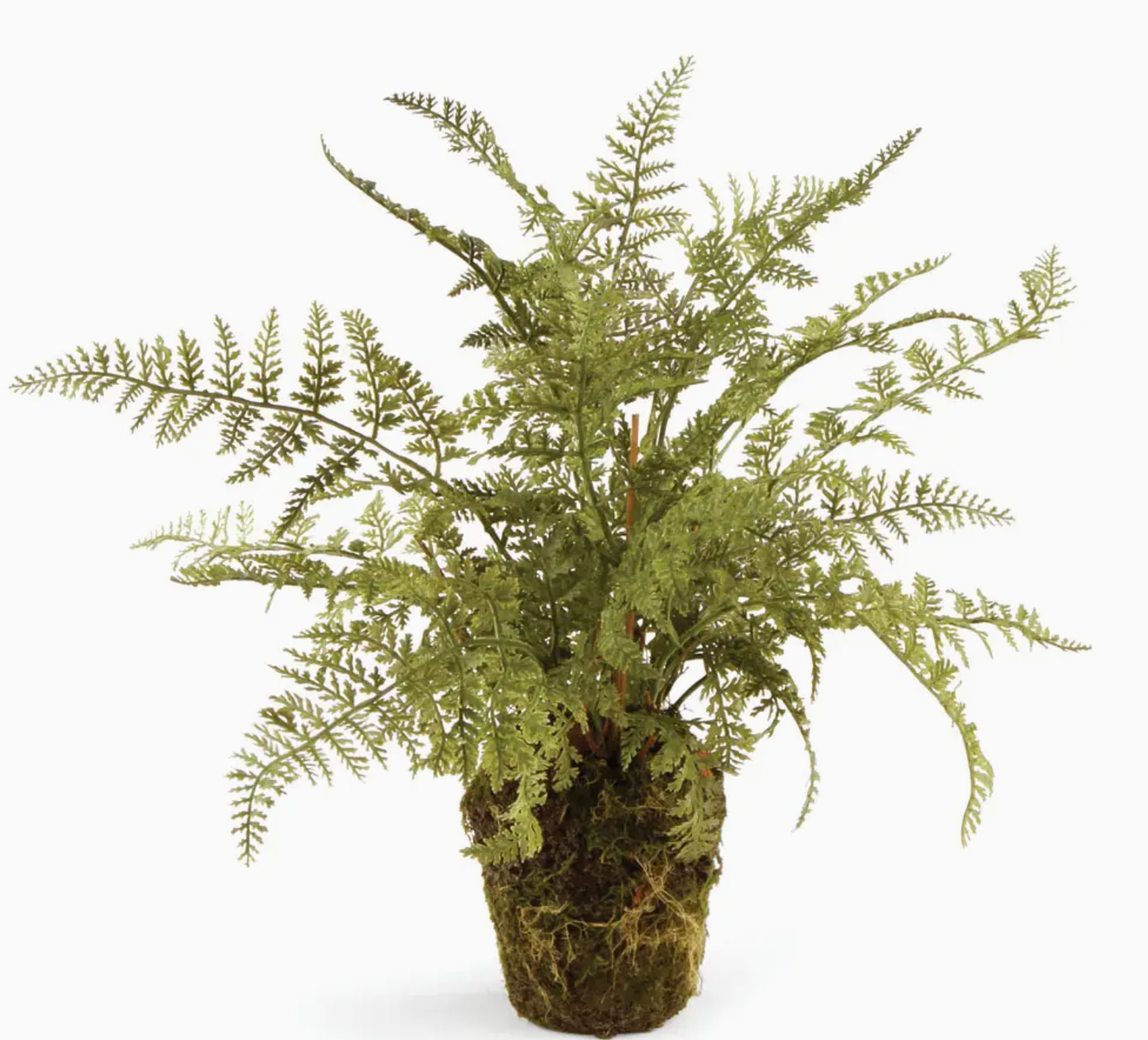 Soft Fern 13" Drop IN