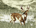 Green Still Buck