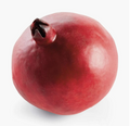 Pomegranate 4"