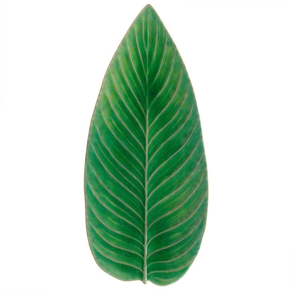 Strelizia Leaf