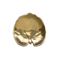 Alchemille Leaf