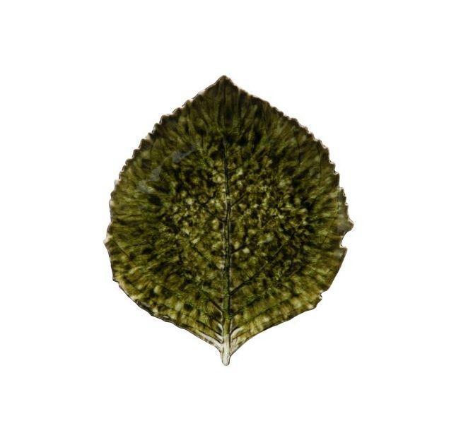 Hydrangea Leaf