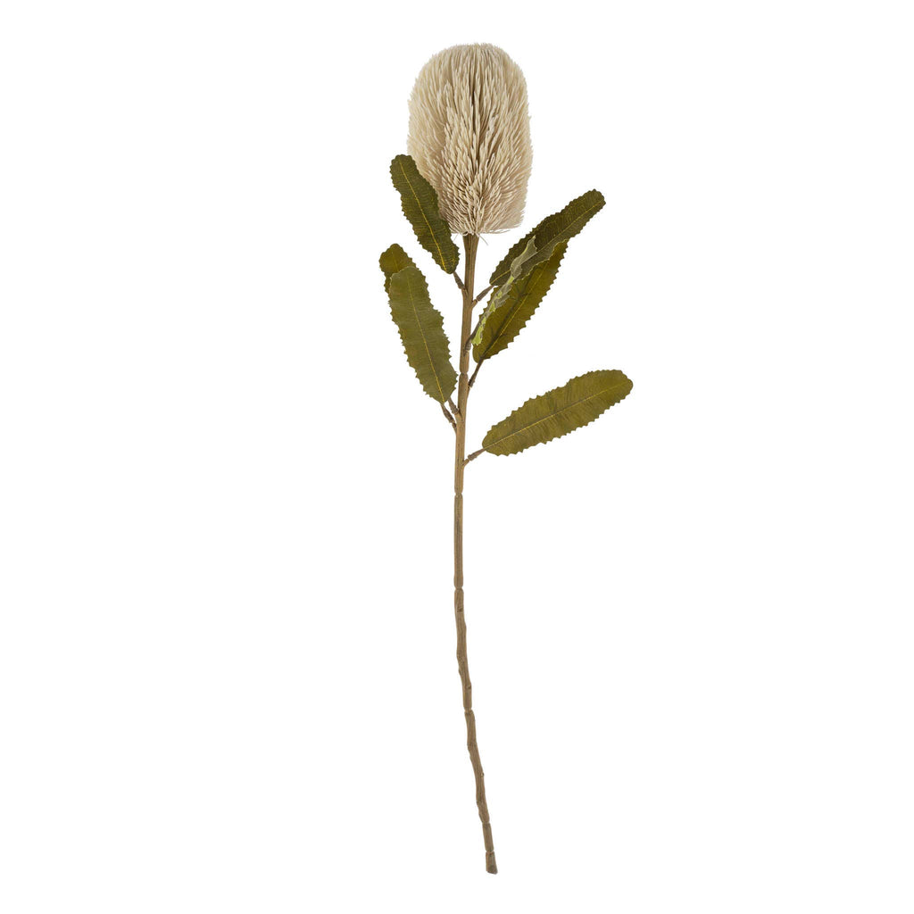 Banksia Floral Stem Cream
