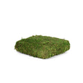 SQ MOSS RISER