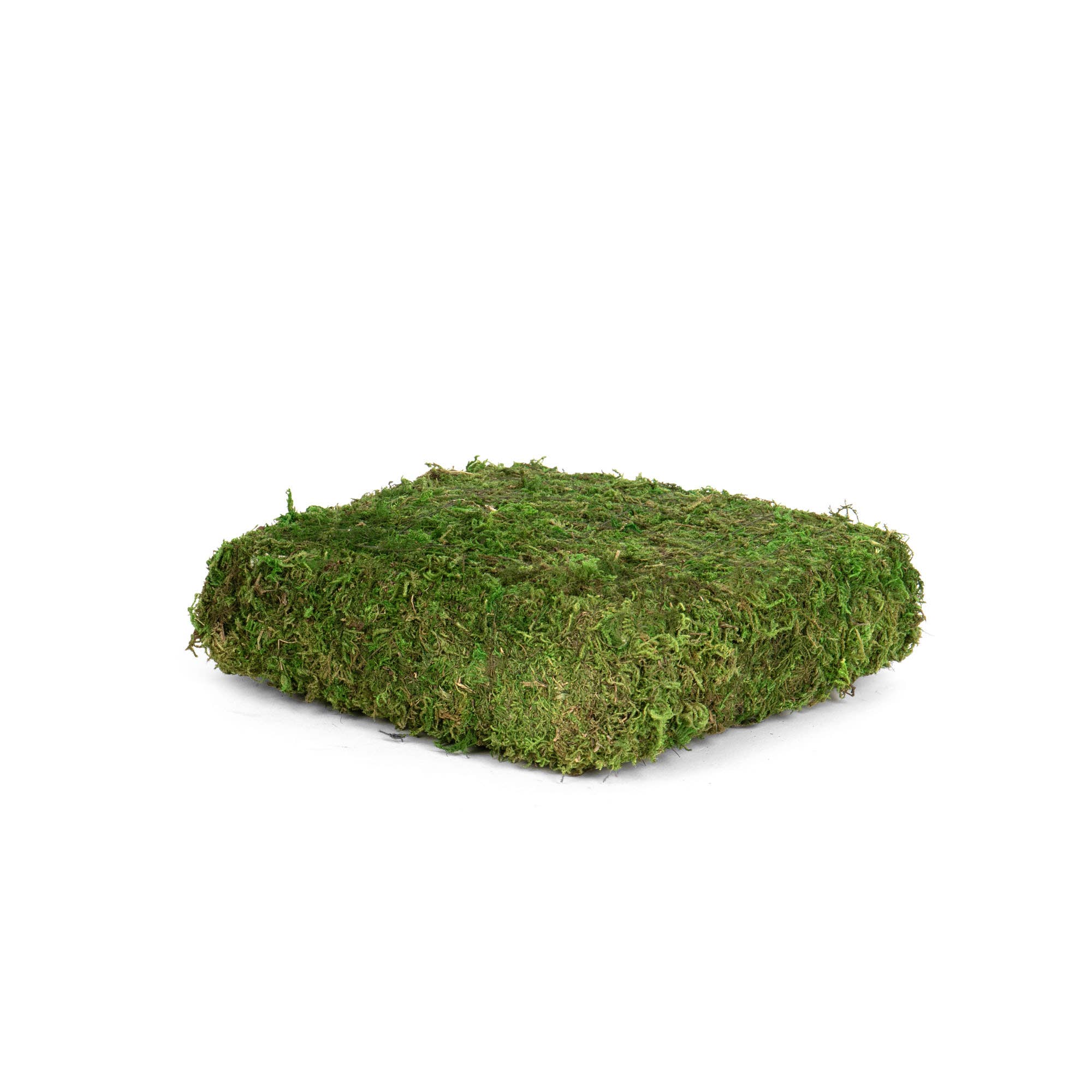 SQ MOSS RISER