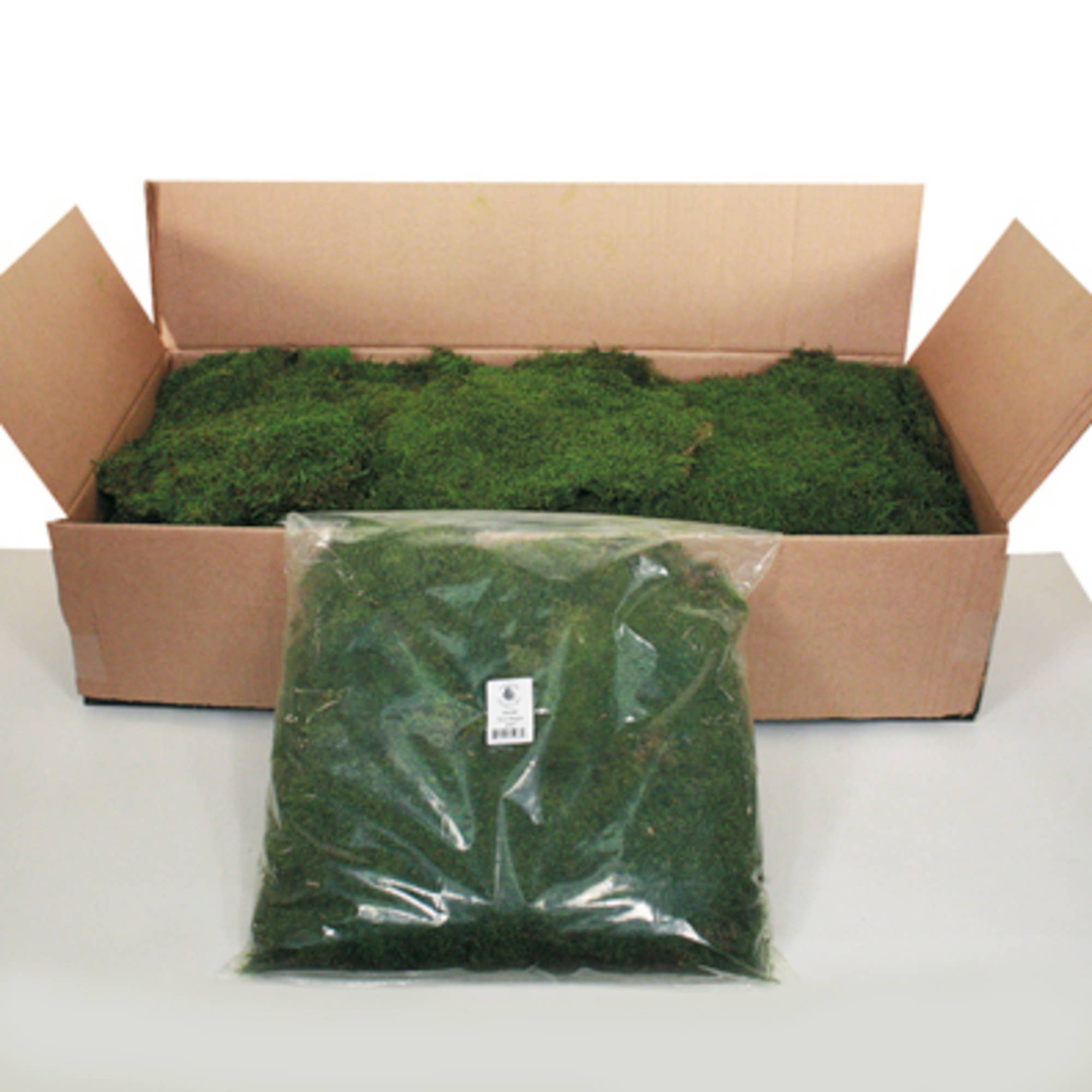 Vickerman 1.1 Lbs Bag of Green Sheet Moss, Preserved
