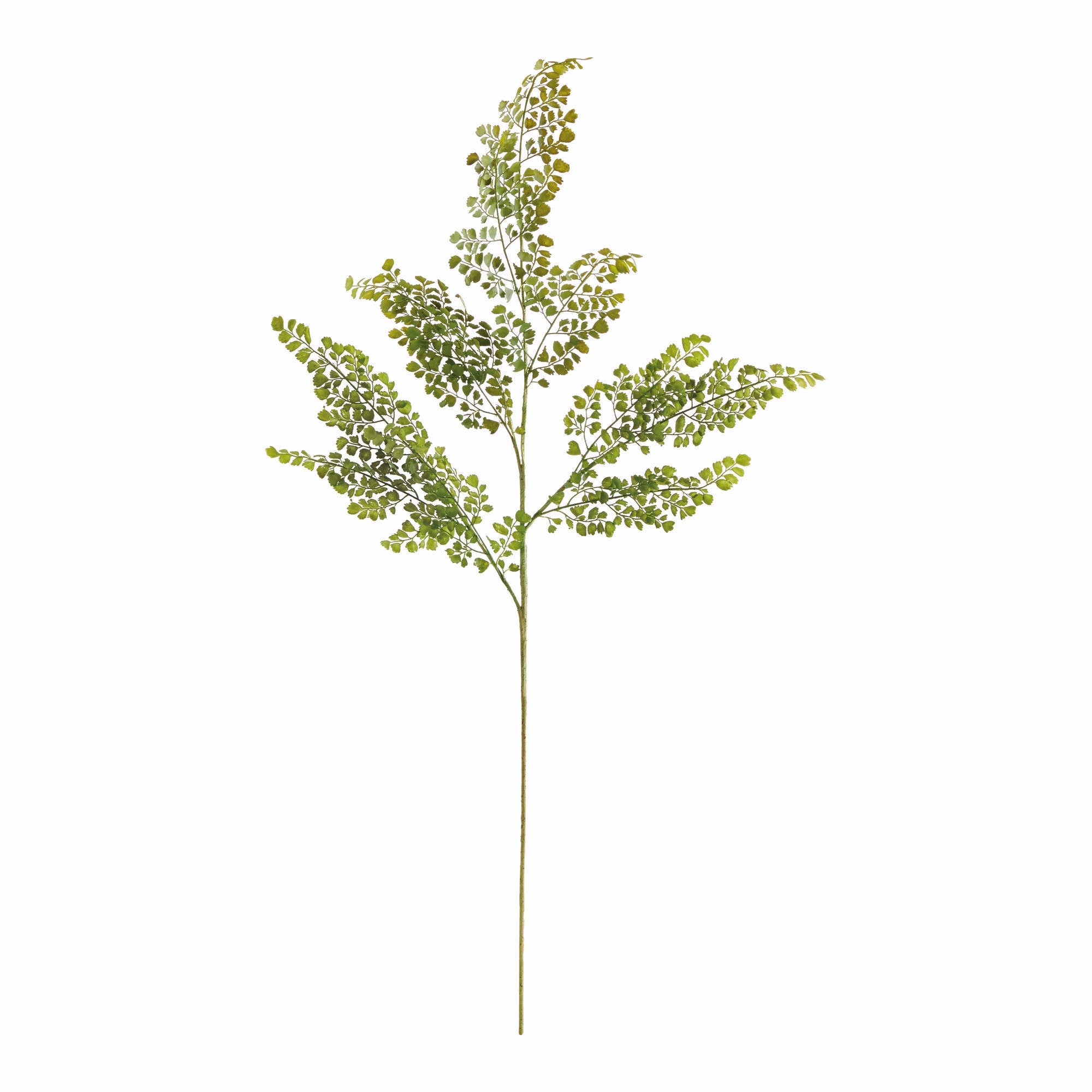 Maidenhair Faux Fern Stem