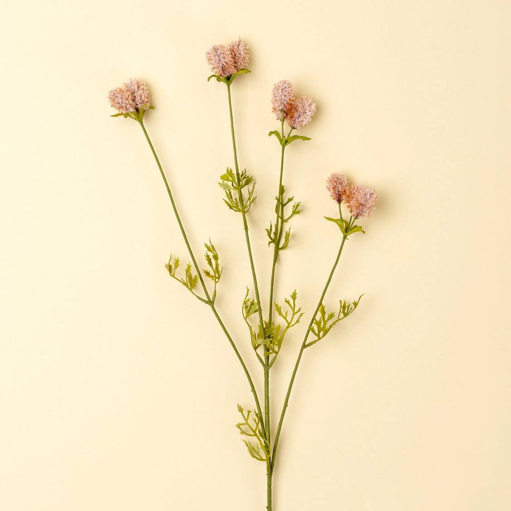 Dandelion Pom Pom Spray, Pink