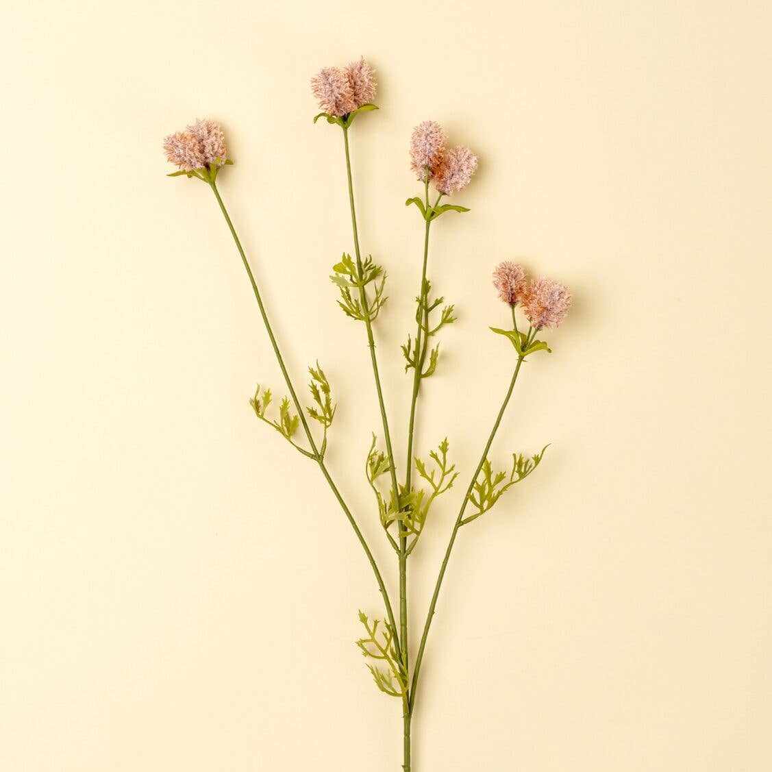 Dandelion Pom Pom Spray, Pink