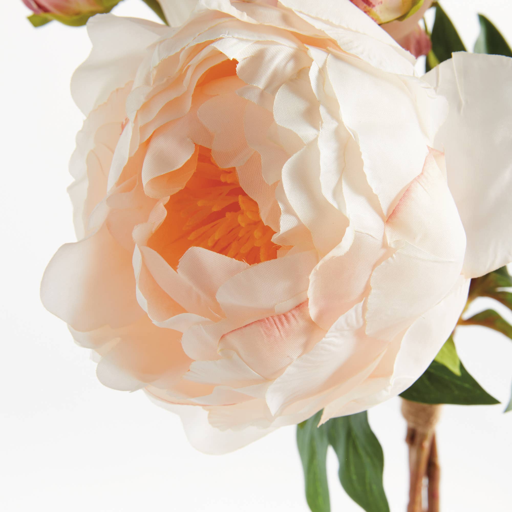 Peonies 21", Light Pink