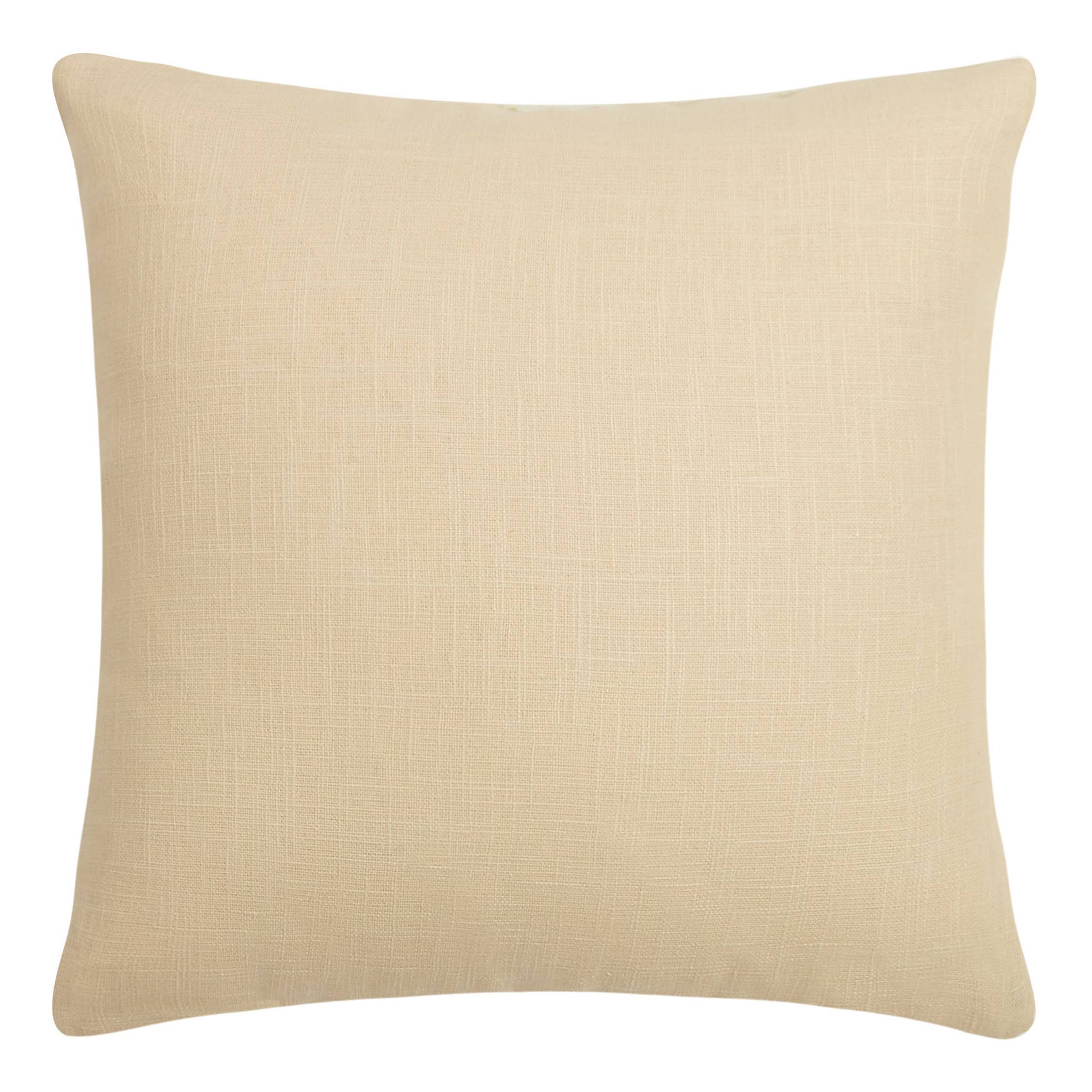 Dotted Line Citron Embroidered Pillow