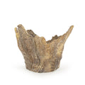 Small Trunk Scultpure
