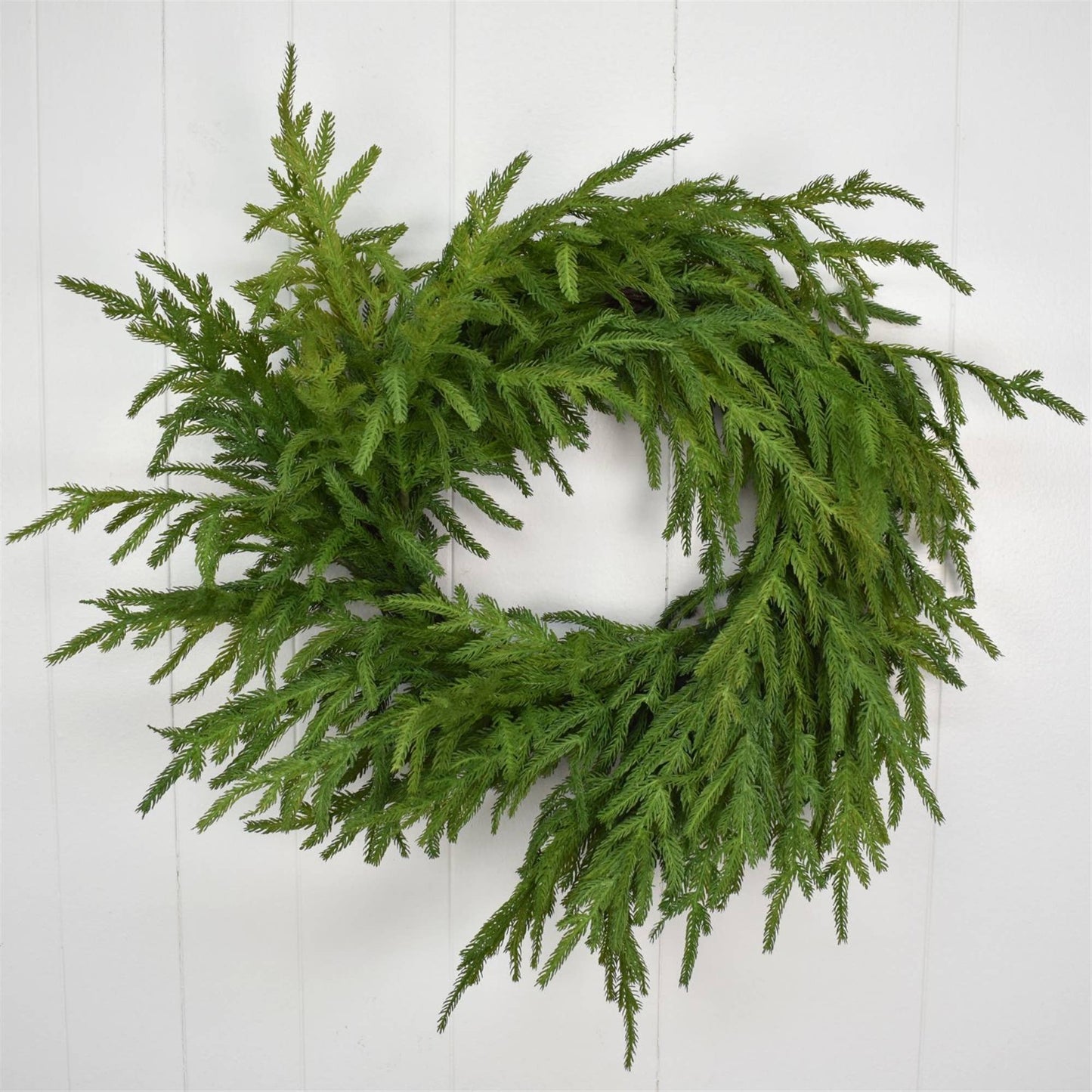 24” Natural Touch Norfolk Pine Wreath-real touch