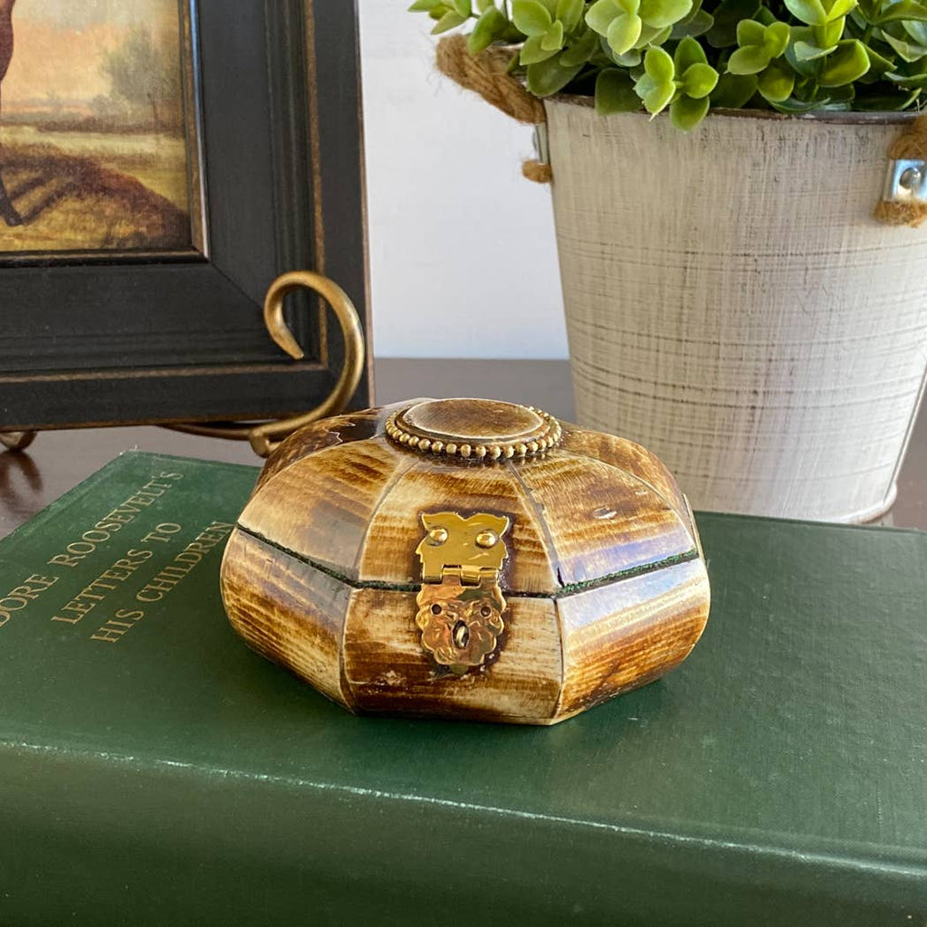 Antiqued Primitive Bone Box with Brass Latch, 3-1/4"