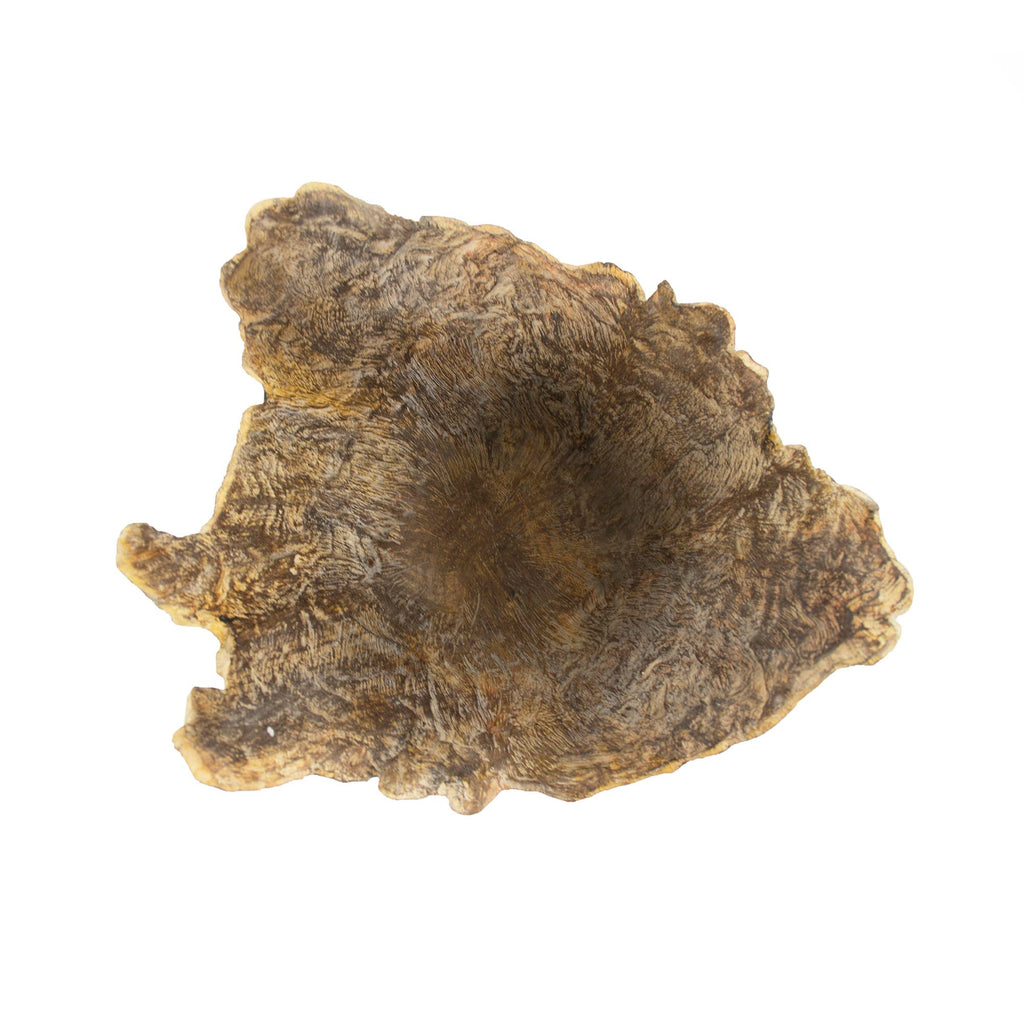 Small Trunk Scultpure