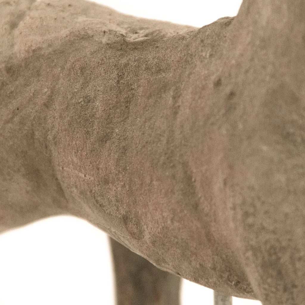 Equestrian Relic Collection