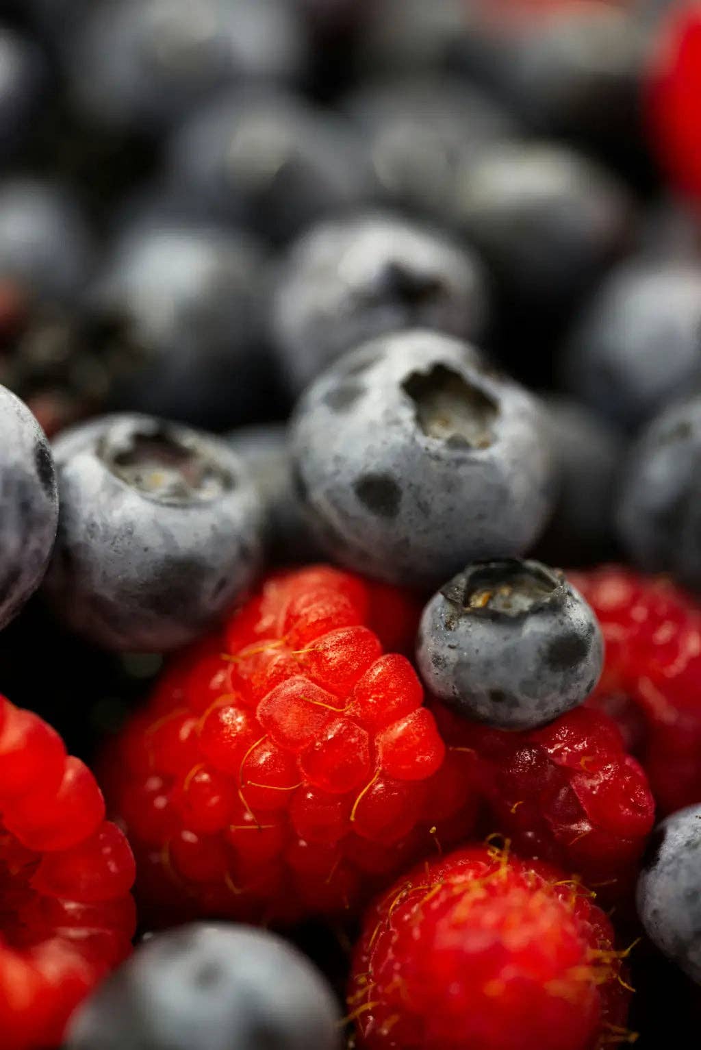 Red, White & Blueberry Spritz Mixer Set