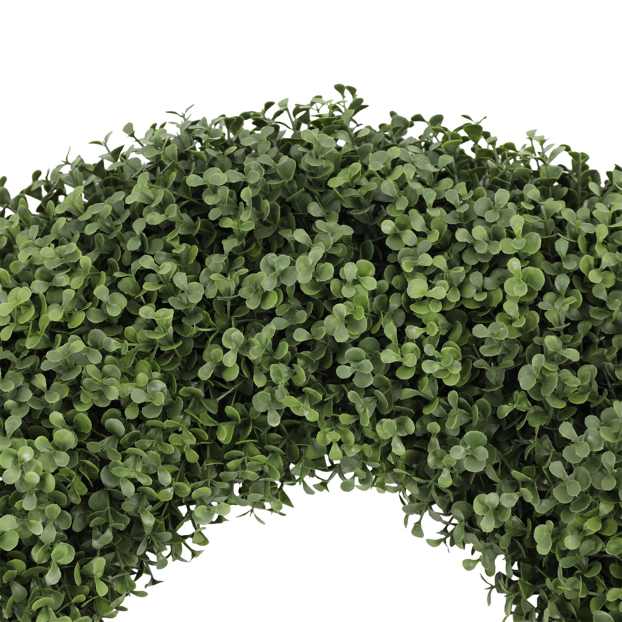 Boxwood Wreath Everlux UV Grand 23 Inch