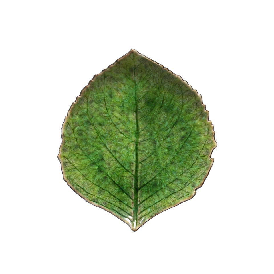 Hydrangea Leaf, Tomate