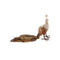 Fabric Peacock with Sequins & Feathers, Brown